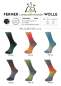 Preview: Ferner-Sockenwolle-Farbe-951-26